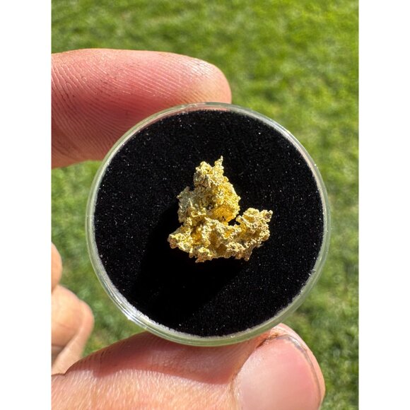 California Native Gold Crystal - 0.97 grams - Picture 6 of 7